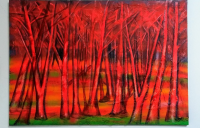 /album/galleria-foto-homepage2/image-1-png/